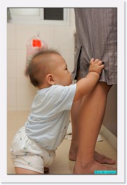 IMG_1018 * 595 x 900 * (221KB)