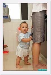 IMG_1019 * 595 x 900 * (210KB)