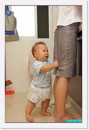 IMG_1020 * 595 x 900 * (208KB)