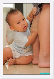 IMG_1024 * 595 x 900 * (200KB)