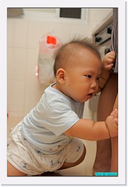 IMG_1025 * 595 x 900 * (227KB)