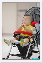 IMG_1305 * 595 x 900 * (216KB)