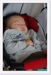 IMG_1362 * 595 x 900 * (199KB)