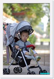 IMG_2528 * 529 x 800 * (237KB)
