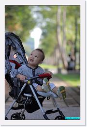 IMG_2532 * 529 x 800 * (239KB)