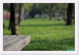 IMG_2534 * 800 x 536 * (214KB)