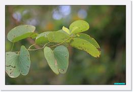 IMG_2590 * 800 x 536 * (210KB)