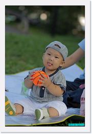 IMG_2605 * 529 x 800 * (208KB)