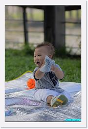 IMG_2627 * 529 x 800 * (230KB)