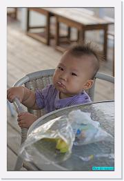 IMG_3186 * 529 x 800 * (249KB)