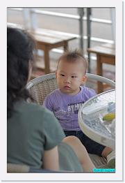 IMG_3217 * 529 x 800 * (248KB)