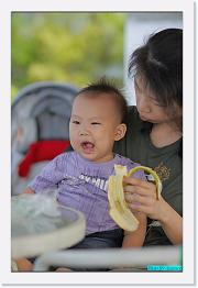 IMG_3393 * 529 x 800 * (207KB)