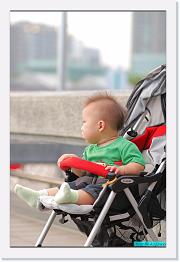 IMG_3406 * 529 x 800 * (224KB)