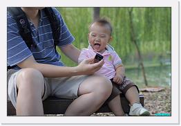 DPP_0012 * 800 x 536 * (223KB)