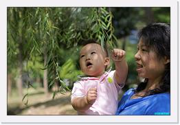 DPP_0015 * 800 x 536 * (214KB)