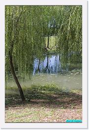 DPP_0016 * 529 x 800 * (227KB)