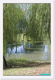 DPP_0017 * 529 x 800 * (228KB)