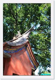 DPP_0036 * 529 x 800 * (224KB)