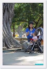 DPP_0041 * 529 x 800 * (222KB)