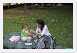 IMG_5164 * 800 x 536 * (235KB)