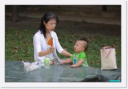 IMG_5202 * 800 x 536 * (239KB)