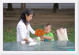 IMG_5210 * 800 x 536 * (223KB)