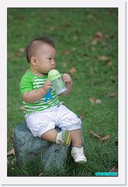 IMG_5247 * 529 x 800 * (237KB)