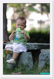 IMG_5250 * 529 x 800 * (245KB)