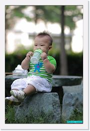 IMG_5265 * 529 x 800 * (244KB)