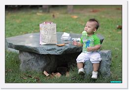 IMG_5273 * 800 x 536 * (227KB)
