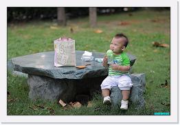 IMG_5274 * 800 x 536 * (220KB)