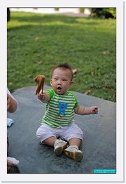 IMG_5293 * 529 x 800 * (246KB)