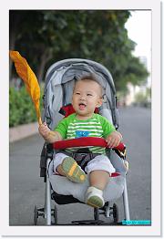 IMG_5328 * 529 x 800 * (246KB)
