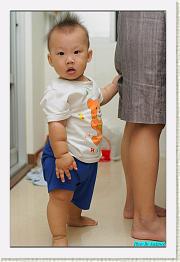 IMG_5616 * 529 x 800 * (237KB)