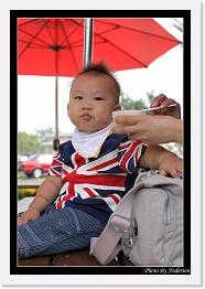 IMG_5731 * 547 x 800 * (238KB)
