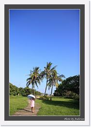 IMG_6163 * 591 x 850 * (221KB)