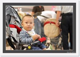 IMG_6914 * 850 x 591 * (235KB)