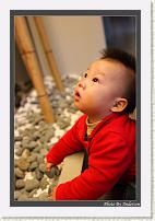 IMG_2728 * 608 x 908 * (218KB)