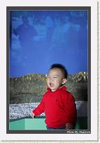 IMG_2739 * 608 x 908 * (227KB)