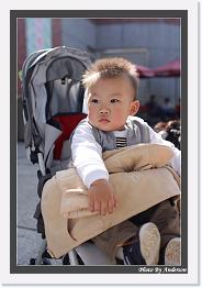 IMG_2992 * 542 x 802 * (229KB)