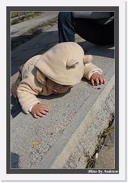 IMG_3009 * 542 x 802 * (228KB)