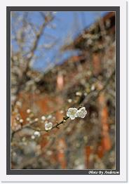 IMG_3027 * 542 x 802 * (249KB)
