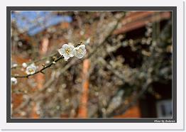 IMG_3028 * 792 x 542 * (193KB)