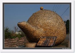 IMG_3037 * 792 x 542 * (237KB)