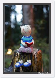 IMG_3155 * 542 x 802 * (233KB)
