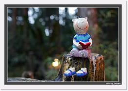 IMG_3156 * 792 x 542 * (223KB)