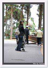 IMG_3252 * 542 x 802 * (224KB)