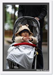 IMG_3255 * 542 x 802 * (245KB)