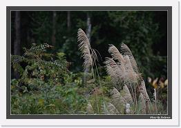IMG_3272 * 792 x 542 * (224KB)