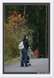IMG_3273 * 542 x 802 * (239KB)